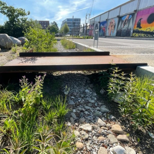 Plejeplan for Musicon